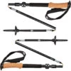 Black Diamond Alpine FLZ Poles