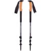 Black Diamond Trail Cork Trekking Poles