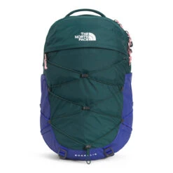 The North Face Women's Borealis 4 The North Face Women's Borealis -Outdoor Equipment Store NF0A52SI 8E8 hero