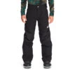 The North Face Boys' Freedom Insulated Pant